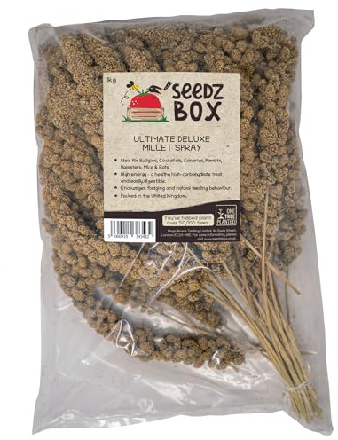 Millet Spray 1kg – Ultimate Deluxe Millet Spray Treat For Budgies Cockatiels Canaries Parrots Hamsters Rats Gerbils - Air-Dried Whole Sprays – High Energy, Easy to Digest – UK Packed - Seedzbox
