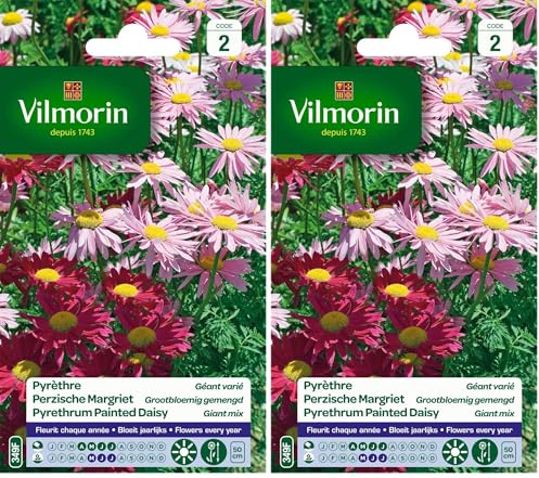 Vilmorin Pyrethre géant en mélange - Semences pour plantation - fleurs hautes vivaces 50 cm - Fleurit chaque année -Eloigne naturellement les insectes - Facile à réussir sans entretien (Lot de 2)