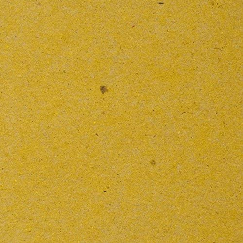 Carta Paglia Quadrata - Formato cm. 20x20 - Confezione da 1000 Fogli di Forma Quadrata - Carta Paglia monouso ideale come sottopiatto o coprimacchia