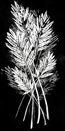 Feeling at home Lienzo-con-AMERICANO-BOX-Palm-Hoja-Fresco-II-Vision-Estudio-Costa-Fine-Art-impresión-sobre marco de madera-Vertical-53x27_in