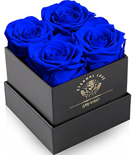 Impouo Rosenbox,4 Infinity Rosen,Konservierte Rose, Ewige Rose,Geburtstagsgeschenke FüR Frauen, Geschenke FüR Mutter/Freundin/Ehefrau/Oma, Geburtstag, Valentinstag,Ewige Blume,Blaue Rosen