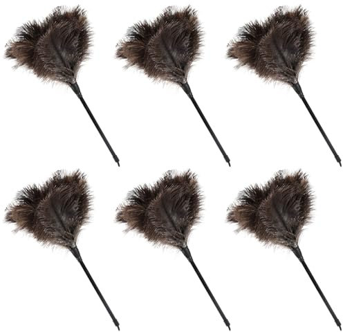 Daieeparty Plumeau en plumes d'autruche naturelles duveteuses de 37,8 cm avec poignée en plastique, fournitures de nettoyage pour cadre photo de bureau et maison (6 pièces)