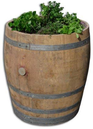 Temesso Tonneau de vin en fût de chêne 225 litres Plate Bande - bac d'herbe, planteur Herbe (Non traité)
