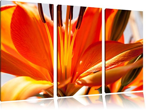 lys orange gros plan Photo sur toile |taille: 3 parties (120x80) cm| Peinture murale | Art Print | prêt couvert