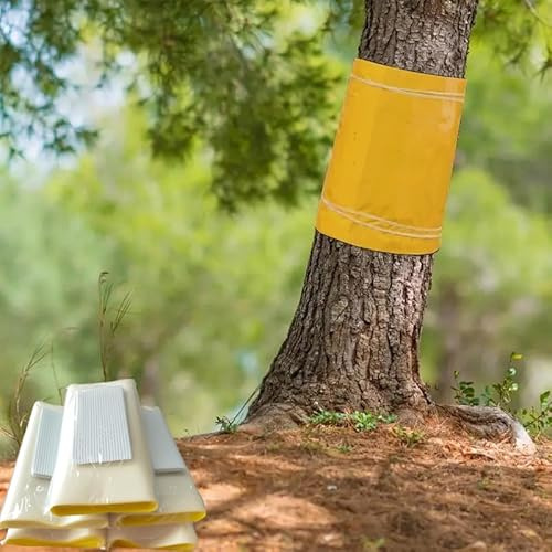 pafnisoin Leimringe Selbstklebend 25CM × 5M Ameisen Leimring Raupenleim für Obstbäume Baumleimring für Kirschbaum Apfelbaum Pflaumenbaum
