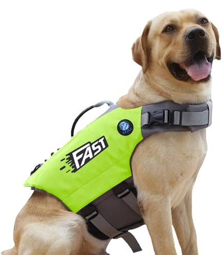 KAJILE Gilet de Sauvetage pour Chien Couleurs Vives,Maillot de Bain pour Le Canin,Sangle de Sauvetage canin au Style Sportif,Gilet Flottant Ajustable pour Chien avec Poignée de Auvetage,Vert,M