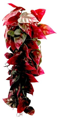 Penn-Plax Terrario Colgante Decorativo Reptology para Reptiles y Anfibios, 12 Pulgadas de Largo, Verde y Rojo