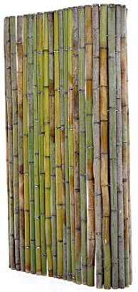 Bambusmatte als Zaun gerollt naturgrün Bali Big Green 180x200cm mit 4 bis 5cm Rohre von bambussi