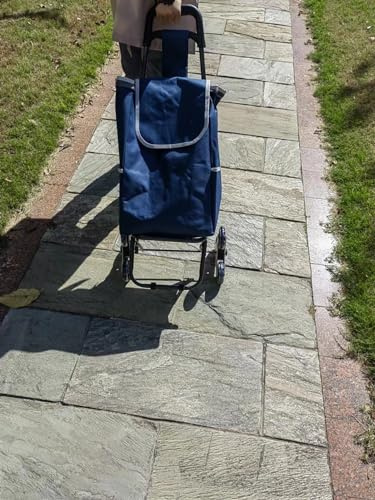 HUYINGC Portable Trolley Folding Cart with Wheels Good for Shopping Carry Things-Blue-T6