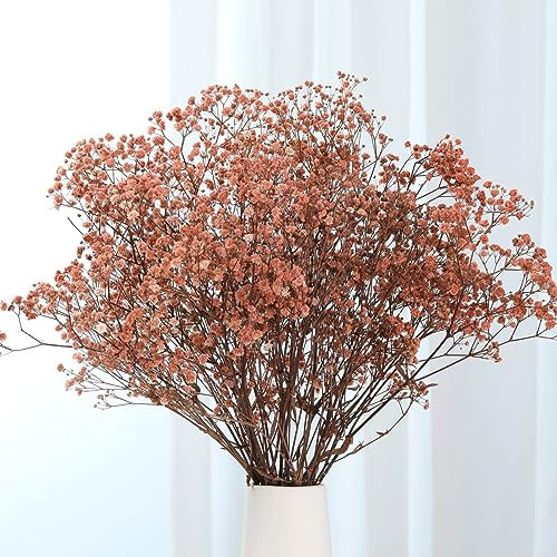 Getrocknetes Schleierkraut-Blumenstrauß - 2000+ braune Trockenblumen, 43 cm natürliche Gypsophila-Zweige für Hochzeit, Tischvasendekor, DIY-Kranzfloristik, Heim-, Büro-, Party- und Gartendekor