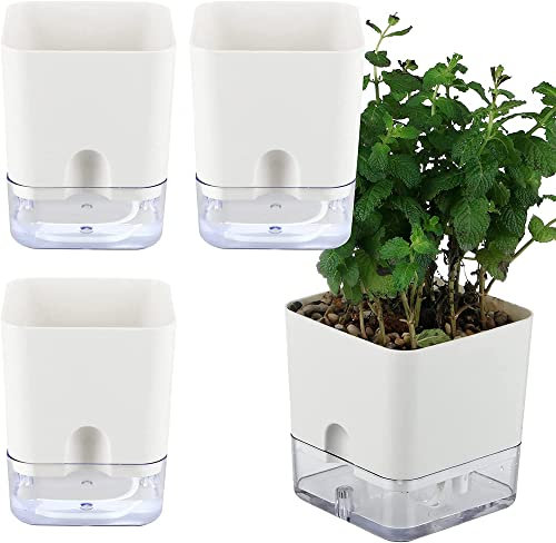 USB 3 Pack selbstbewässernde Töpfe für Indoor-Pflanzen, selbstbewässernde Pflanzgefäße Box transparent für Teufels-Efeu, Spinnenpflanze, Orchidee für Haus & Büro. Afrikanisches Veilchen Topf für Outdo