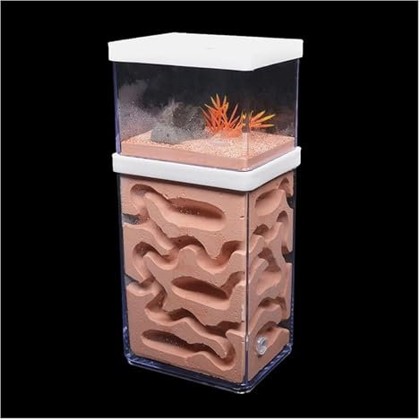 HYKJCSS Ameisenfarm Insektenbedarf Gips Ameisenfarm Natürliches Ökologisches Großes Ameisennest Insektenburg Werkstatt Haustier Ameisenhaufen Ameisenhaus Ameisen Farm(23cm)
