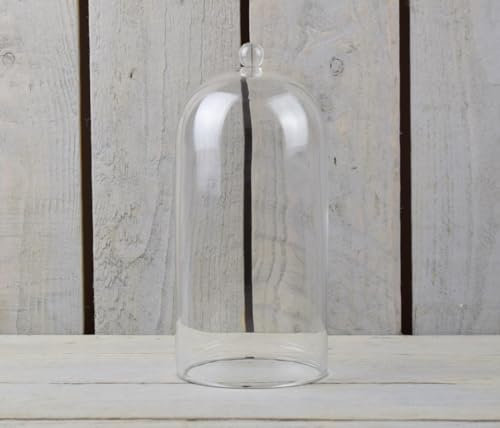 EMH Kleine Glasglocke mit Knauf, 21,5 x 10 cm