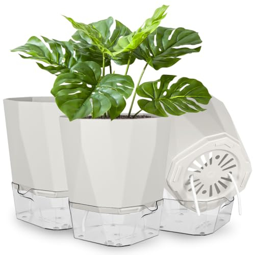 NUTKIT Maceta Autorriego 18cm,3 Pcs Plástico Blanco Grisáceo con Bandeja | Redonda, orificios de drenaje, sistema de riego automático, ideal para plantas de interior, talla M