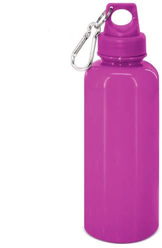 DISOK Lote 20 Bidones PS con Mosquetón. Bidones para bodas, bautizos y comuniones. Regalos de empresa, regalos gimnasio. (Royal)