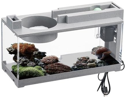 Acquario da tavolo, acquario da scrivania, acquario in vetro, moderno e silenzioso, con pompa ad aria, per alghe, piccoli coralli, pesci rossi, tartarughe, rettili, muschi, granchi, da tavolo