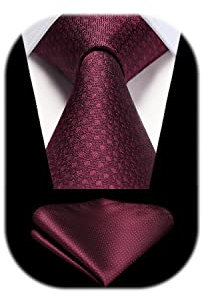 HISDERN Corbatas Vino Rojo Hombre Modernas Corbata y Pañuelo de Boda Conjunto Corbatas de Business