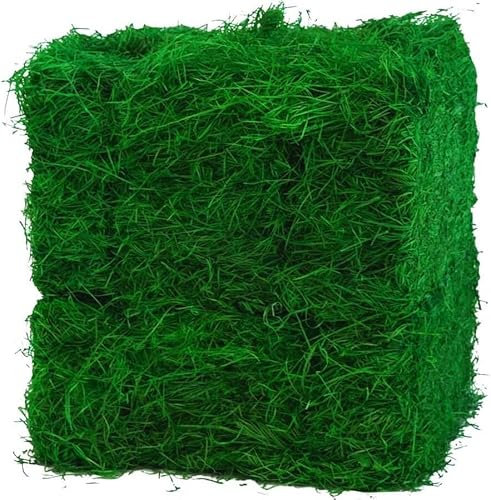 Doubleyou Geovlies & Baustoffe 500 grammi (500 g), erba pasquale verde, perfetta per decorazioni pasquali, lana di legno colorata al 100%, ideale come materiale di riempimento o per decorazione,