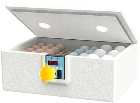 Brutkästen für Bruteier, Entenei-Brutkasten, intelligente ABS-Temperaturkontrolle, Inkubationsbox für Geflügelzucht, ideal für Labor, wissenschaftliches Klassenzimmer, Zuhause und Schule, 43,5 x 32 x