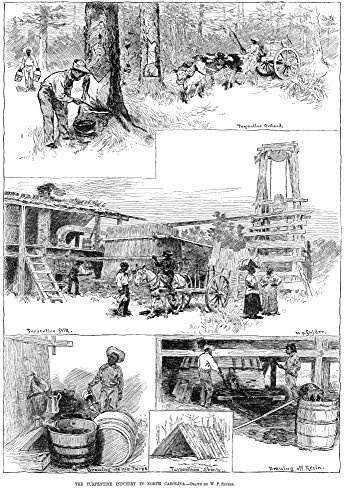 Turpentine Industry 1884 NThe Turpentine Industry In North Carolina Engraving From Drawings By WP Snyder 1884 Poster Print by (18 x 24)
