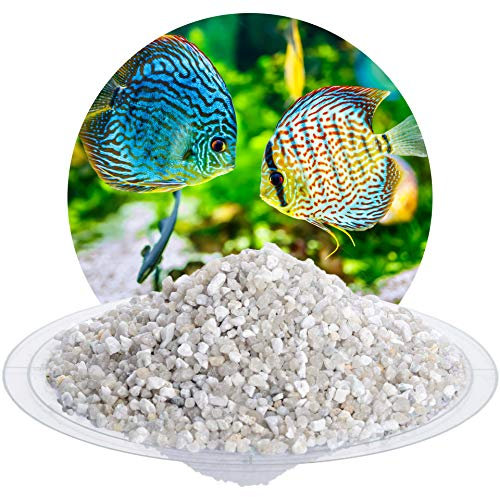 Schicker Mineral Aquariumkies Natur 25 kg, grober Aquariumsand gewaschen, ungefärbt, kantengerundeter Bodengrund, Kies für Süßwasseraquarien, Meerwasseraquarien, Aquascaping (3,15-5,6 mm)