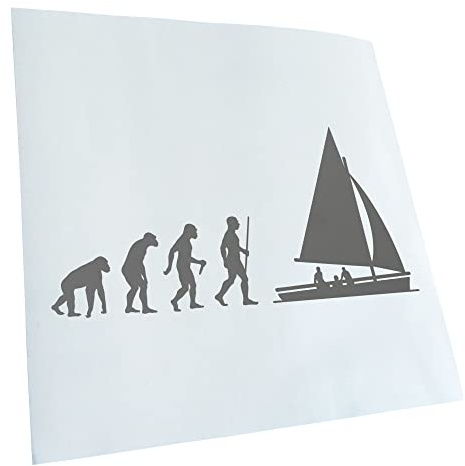 Kiwistar - Autoaufkleber - Segeln Boot Evolution - grau - 20x10cm - Heckscheibe Auto Aufkleber wetterfest für Kfz LKW Mofa Truck - Sticker außen selbstklebend Tuning Zubehör für Fenster Fahrzeug