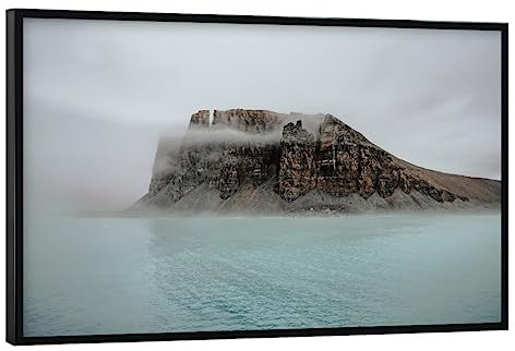 artboxONE Poster mit schwarzem Rahmen 90x60 cm Natur Farnpflanze - Bild Farn Natur Pflanze