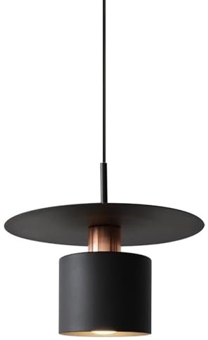Peskoe Moderne Hängelampe mit Batteriebetriebene,Akku Hängeleuchte ohne Strom mit Fernbedienung,Ohne Stromanschluss Hängelampen mit RGB dimmbar,wiederaufladbare LED-Lichtquelle E26/E27.(Black)