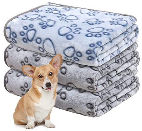 Gorgelly 1 Pack 3 Hundedecke Weiche Haustierdecke Waschbar,60x80cm | Kuscheldecke Flauschig für Kleine Mittlere Hunde Katzen, Sofaschoner für Hunde, Hundedecke für Unterwegs
