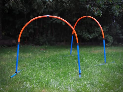 Lemodo Hoopers Set mit 2 Bögen, Agility Set, Steckhürden-Set mit Tasche, Hundesport, Hundetraining
