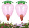 Viitech Lot de 2 boules d'arrosage automatiques - Fraise - 550 ml - Arrosage automatique pour plantes d'intérieur et d'extérieur