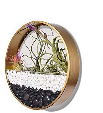 Wandvase, Metall, rund, Wand-Pflanzgefäß, Wandmontage, hängender Blumentopf, Pflanzenhalter, moderne Wanddekoration, Kunst für Balkon, Garten, Pflanzen von Luftpflanzen, Trockenblumen, Sukkulenten (20