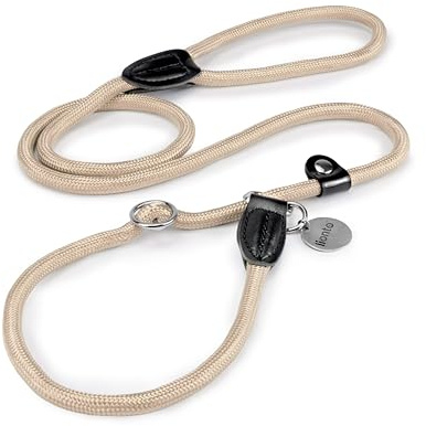 lionto Laisse Retriever Robuste et résistante aux intempéries pour Chiens de Toutes Tailles, Laisse et Collier en Un, 120 cm, Douce pour Le Pelage avec Stop intégré, Vegan, Beige