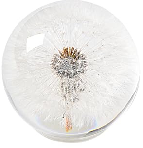 1st Heaven Dandelion Paperweight – Real Dandelion in Crystal Glass Ball, Unique Gift & Home Office Decor, Symbol of Luck, Hope, and Wishes for Birthday, Graduation, Wedding