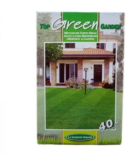 Top Green Garden Semi per Prato Inglese, Varietà Nane Pregiate, 40 mq di Copertura KG 1 | RICHIEDE POCHISSIMA MANUTENZIONE|