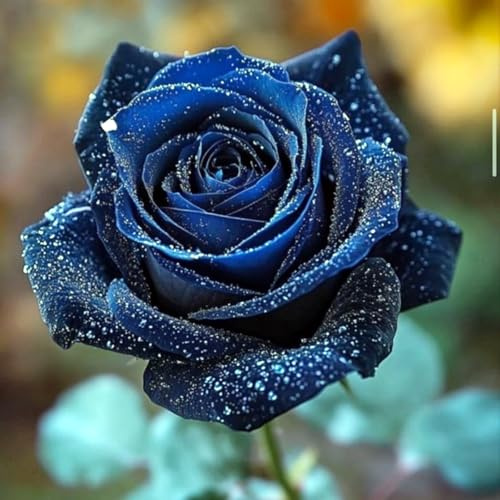 Eleganz Rosen-Rhizom, Überraschend wachsend, Winterhart Mehrjährig, Geeignet für Frühling und Herbst, Kein Gießen Erforderlich-4 Rhizom-H