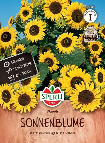 Sperli Sonnenblumensamen Waooh 86871 - Einjährig - Schnittblume - stark verzweigt - standfest - leuchtend gelb - 80-100cm - Saatgut, sunflower seeds