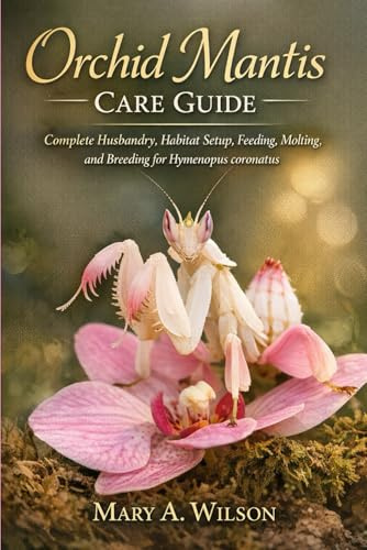 Orchid Mantis Care Guide: Complete Husbandry, Habitat Setup, Feeding, Molting, and Breeding for Hymenopus coronatus