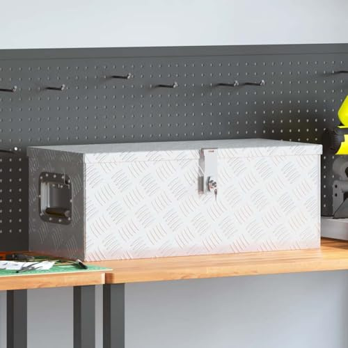 Runheo Boîte de rangement en aluminium argenté 70x31x27 cm avec verrouillage, poignée pratique pour outils, transport et stockage dans atelier, garage, chantier