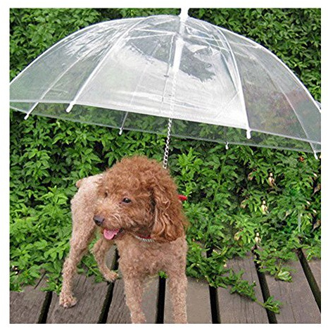 Haustier-Regenschirm-Hundeleine, transparent, wasserdicht, für Hunde/Katzen, trockene Spaziergänge bei Regen und Schnee