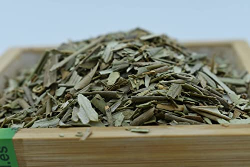 Hojas de Olivo 1000 gr - Olivo para Infusión Natural 100 % 1 Kg