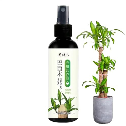 Liquid Fertiliser For Indoor Plants, 1 Piece Brazilian Wood Plant Food, 100ml Hydroponic Plant Food For Houseplants, Brazil Wood Plant, Desk Plants, Brazilian Woods