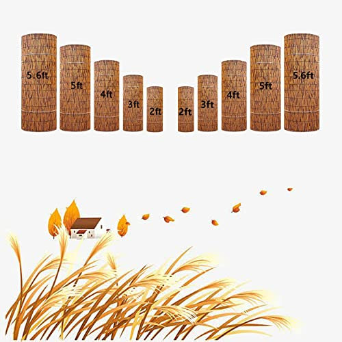 LMMIAOZ Rotolo di Recinzione in bambù da 4 Piedi x 6 Piedi per ringhiera del Ponte del Giardino, Recinzione schermante Naturale per la Privacy del Balcone