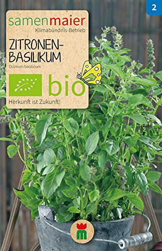 BIO Zitronenbasilikum Samen - Grün, feinblättrig, einjährig - Aussaat ganzjährig in Töpfen oder Mai bis Juli im Freiland - Inhalt 0,3 g - Samen Maier