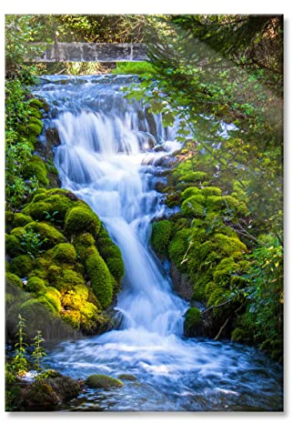 Pixxprint Glasbild, Wandbild aus Echtglas, Wasserfall im grünen Wald, 40x60 cm, inkl. Aufhängung und Abstandshalter