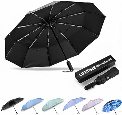 DryDay Travel Umbrellas for Rain - Large Windproof Double Canopy Umbrella, 10 Durable Ribs, Strong Frame, Auto Open Close Ergonomic Handle, Compact Waterproof Umbrella for Women & Men (Black, 46)