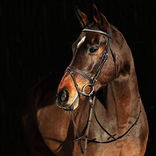 HORZE Weston Padded Leather Snaffle Bridle with Flash Noseband and Web Reins | English Bridle for Horses - Brown - Cob