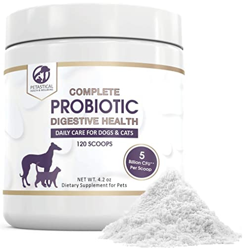 Petastical Probiotics for Dogs and Cats, 5 BILLION CFU Max Strength Canine Feline Probiotic Powder for Digestive Health Pet Supplement, 120 Powder Scoop