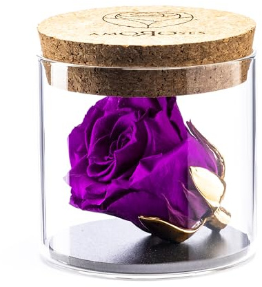 Amoroses Bijou - Rose éternelle stabilisée avec Calice plaqué Or 24K dans Un conteneur en Verre | Idée Cadeau