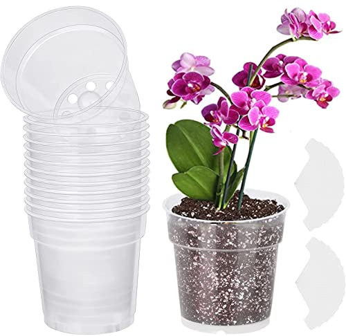 LATERN 30 Stück Klare Orchideentöpfe, 11,5cm Blumentopf aus Kunststoff Harte Kinderzimmertöpfe Sämlings Töpfe mit Ablauflöchern für Indoor Outdoor Garden Balkon – mit 30 Pflanzenetiketten